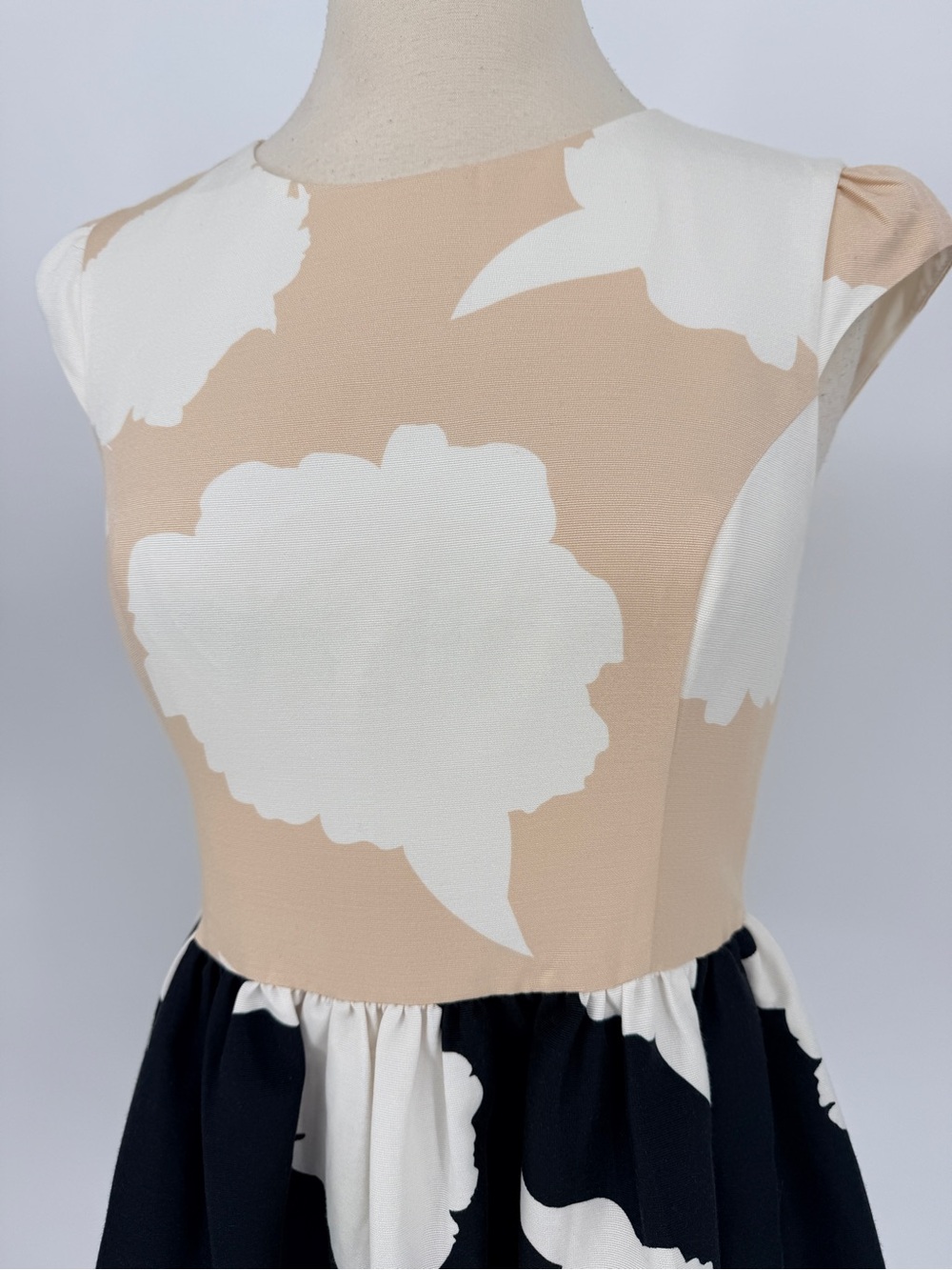 Beige and Black Floral Fit-and-Flare Dress - Picture 3 of 7